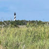 taracogdill0630